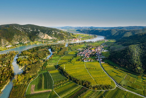 Weingärten der Wachau © OeWM-WSNA