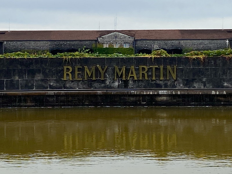 Das Cognac-Haus Rémy Martin feiert 2024 sein 300 jähriges Jubiläum. Zeit für einen exklusiven Blick auf die DNA eines ganz besonderen Liquids.