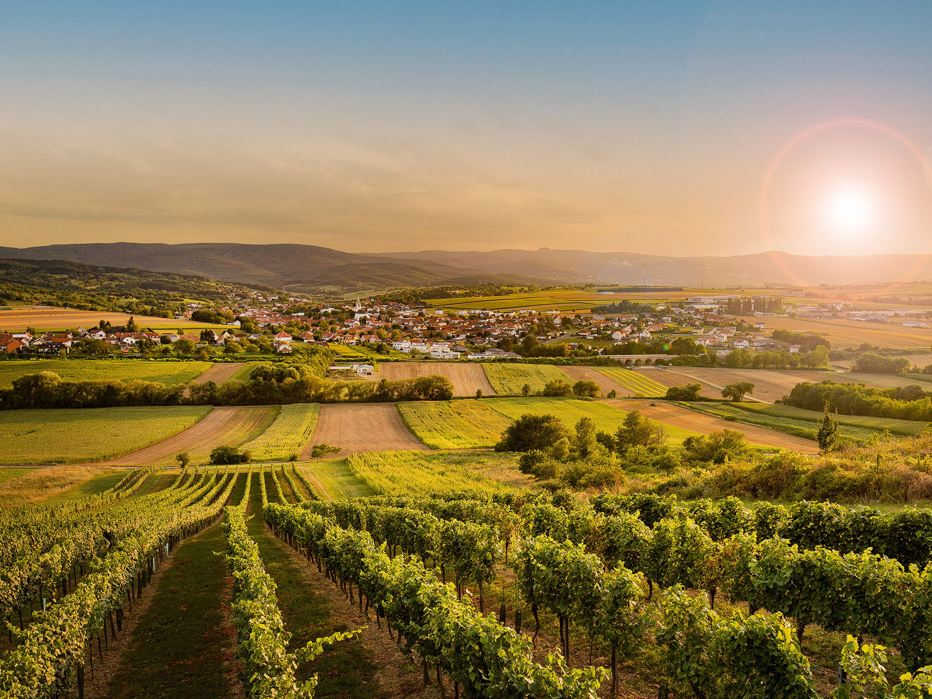 Ein Gebiet mit langer Geschichte; schon vor 2.500 Jahren haben die Kelten hier Wein angebaut. 