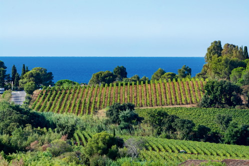 Blue sky, blue sea: Provence is a place of longing for connoisseurs – and not just because of its outstanding rosés.