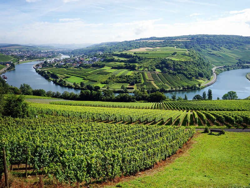 Das Zusammentreffen einzigartiger Böden an der Mosel macht die Crémants zu etwas ganz Besonderem.
