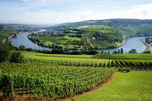 Wine also grows on the Luxembourg section of the Moselle – and sparkling crémant.