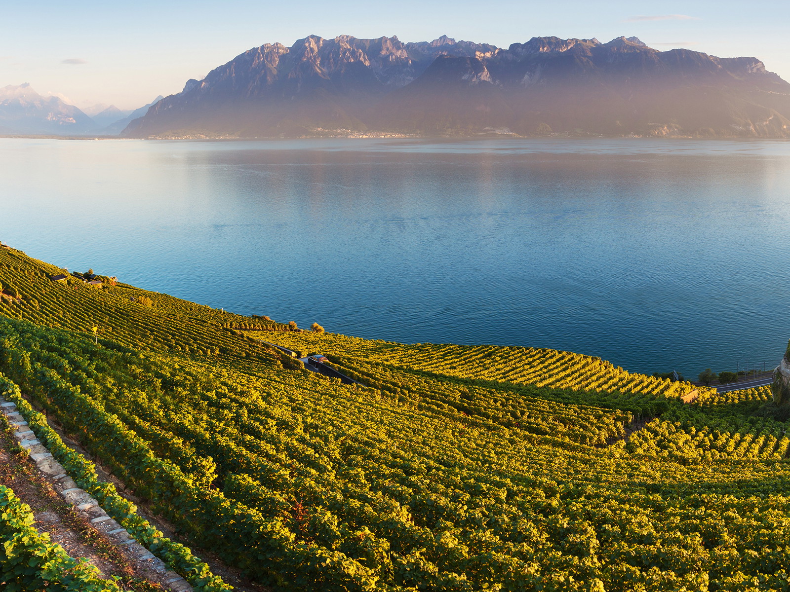In der atemberaubenden Reblandschaft des Lavaux entsteht auch der Siegerwein der Falstaff-Trophy. 