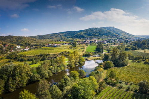 Der Kamp-Fluss wird bei Schönberg-Neustift von Weinrieden gesäumt.