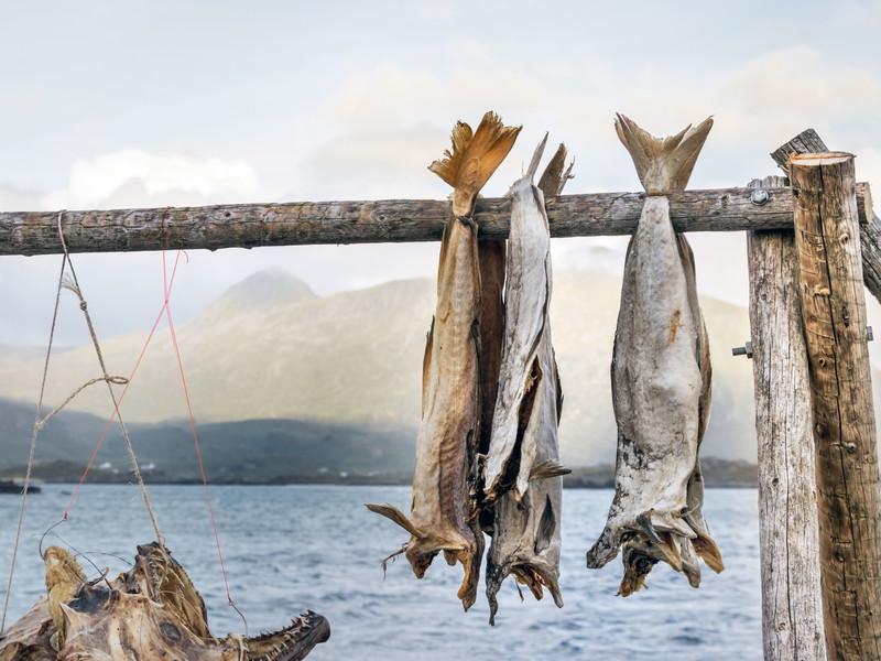 Traditionell getrockneter Stockfisch von den Lofoten ist ein Lebensmittel mit geschützter geografischer Angabe.