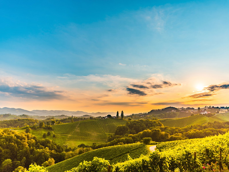 Die Südsteirische Weinstraße wird gerne mit der Toskana verglichen, hier sind die Chardonnays allerdings mit Sicherheit auf einem höheren Niveau.