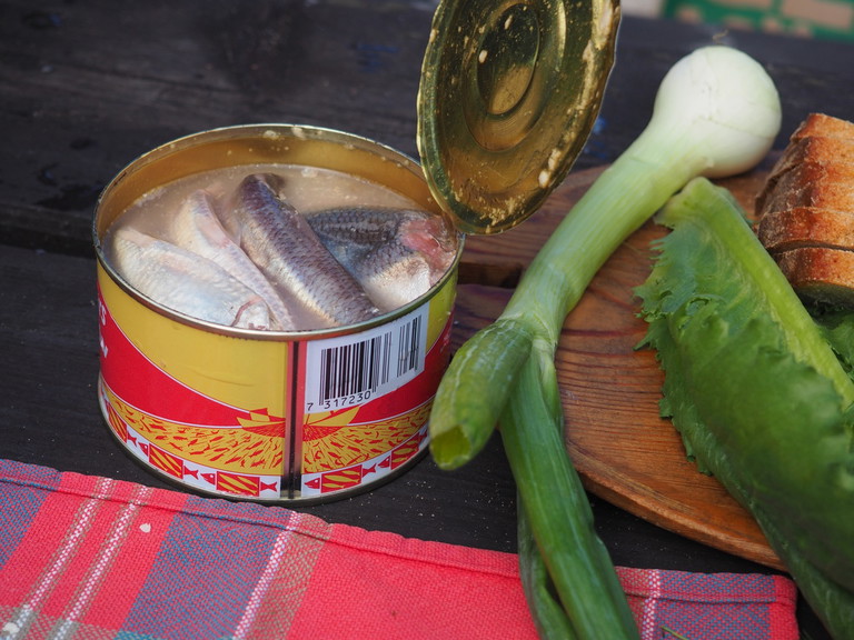 Surströmming, fermentierter Hering aus Schweden, ist für seinen extrem starken Geruch bekannt. Trotz des Geruchs ist er eine geschätzte Delikatesse.
