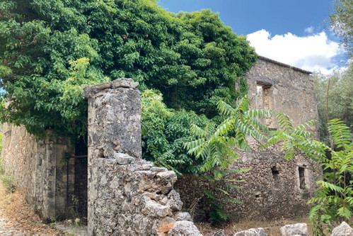 Some villages are being reclaimed by nature.
