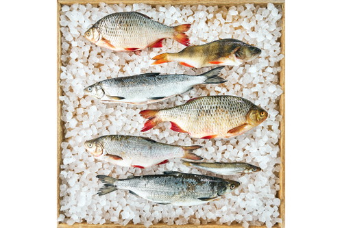  »Seafood Gastro« ist das neueste Lokal des renommierten Chefkochs Mathias Dahlgren. Er ist einer jener Starköche, die das Manifest der neuen nordischen Küche entwickelten.