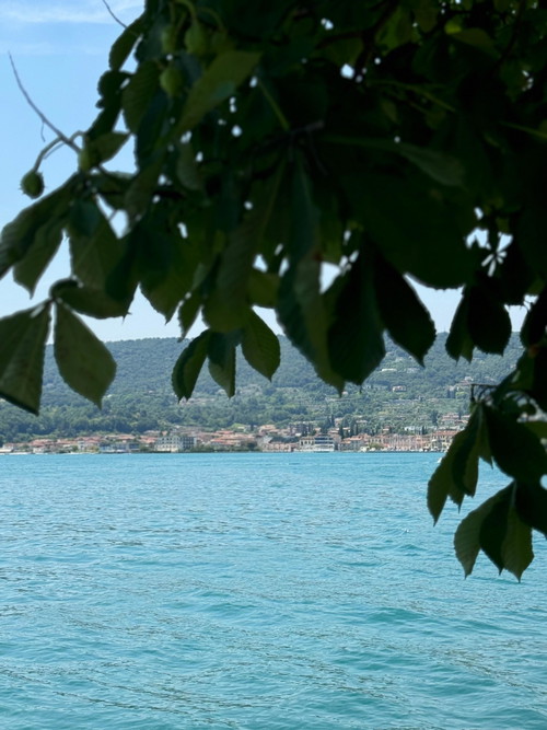 Salo.