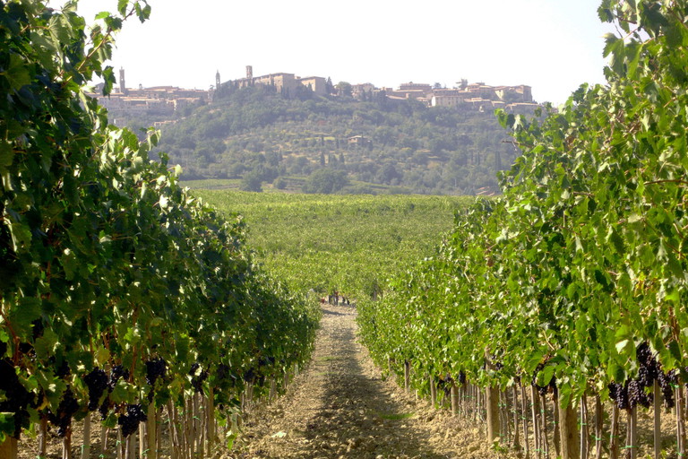 Tenuta Pinino.