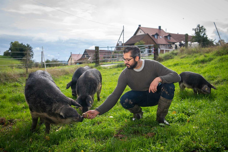 Dass glückliche Tiere das beste Fleisch liefern, beweist Nicola Eicke mit seiner Firma «Das Fleisch». Seine Woll- und Duroc-Schweine geniessen grosse Freiheit und Auslauf, wann immer sie wollen.