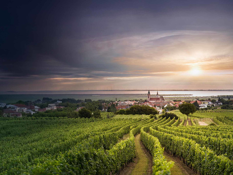 Die uralte Freistadt Rust am Neusiedlersee ist auch Herkunft mineralischer Weißweine.