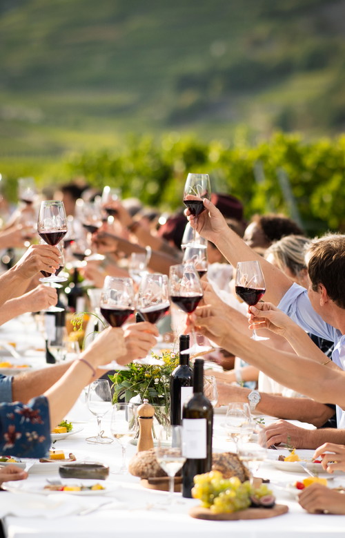 Ein Hoch auf die Walliser Weine!