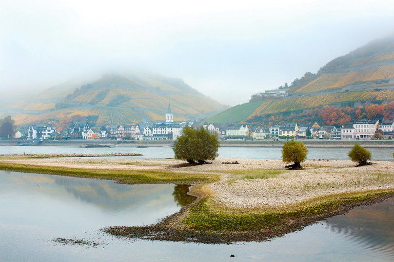Der Höllenberg in Assmannshausen am Rhein ist eine exklusive Spätburgunder-Insel inmitten eines Meeres aus Riesling.