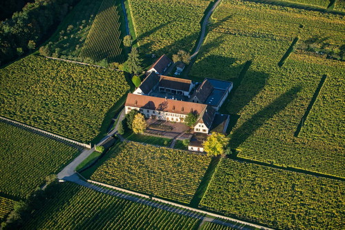 Domaine Weinbau in Kayserberg, Haut-Rhin, Elsass.