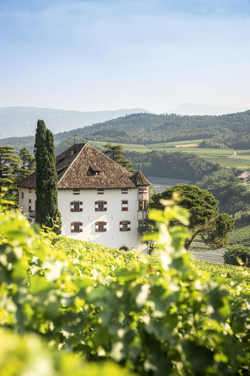 Castel Ringsberg, 1620 errichtet, umgeben von den Reben des Weinguts Elena Walch.