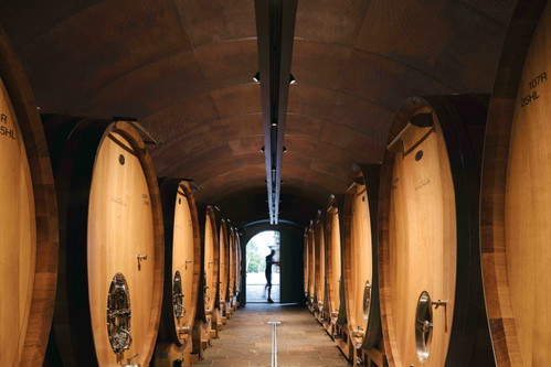 Großer Holzfasskeller im Weingut Elena Walch. Weißer und roter Traminer: Man nimmt an, dass der weiße Traminer die Urform ist und der rote eine Mutation. Aus dem roten Traminer hat sich dann der Geürztraminer weiter entwickelt.