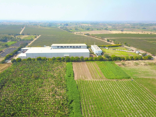 Die Produktionsstätten in Indien, wie hier bei Fratelli Wines, sind auf Funktion ausgerichtet, hübsche Betriebe sind eher eine Seltenheit. Es zählt der Wein.