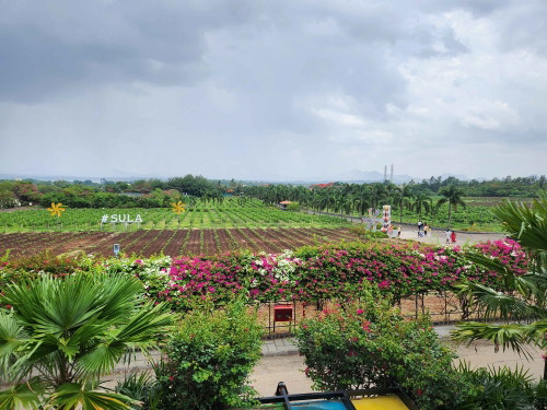 Sula, Indiens wichtigstes Weingut, ist dank der Nähe zu Mumbai ein Ort, der den Menschen die Weinkultur nahebringt.