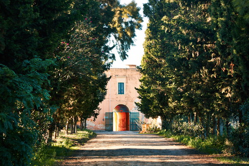 Die Tenuta Bocca di Lupo liegt bei Trani und ist einer der beiden Antinori-Ableger in Apulien