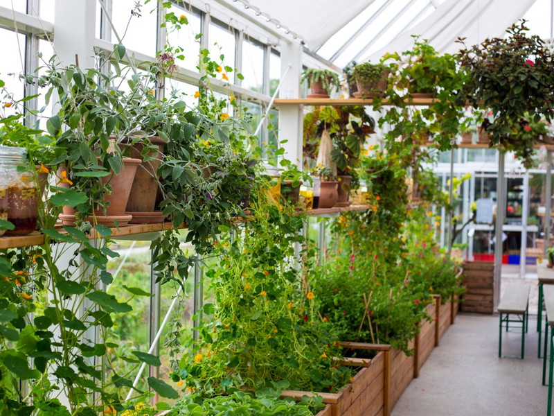 Das innovative Gewächshaus vom «Noma» in Kopenhagen: Hier setzen René Redzepi und sein Team auf frische, nachhaltig angebaute Zutaten für ihre preisgekrönte Spitzengastronomie.