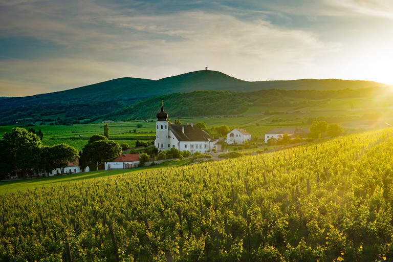 Die Thermenregion im Süden Wiens wird auch als österreichisches Burgund bezeichnet. Die Zisterzienser-Grangie Freigut Thallern gilt als Ausgangspunkt der Pinot-Kulturen in der Region.
