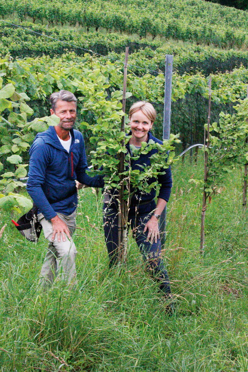 Karin und Roland Lenz gehören zu den Piwi-Pionieren in der Schweiz. 95 Prozent ihrer Rebflächen sind mit neuen Sorten bestockt.