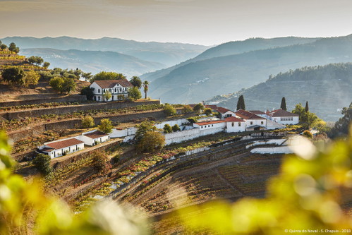 Die traditionsreiche Quinta do Noval befindet sich im schmucken Ort Pinhão. Für Besucher gibt es hier verschiedene Angebote.