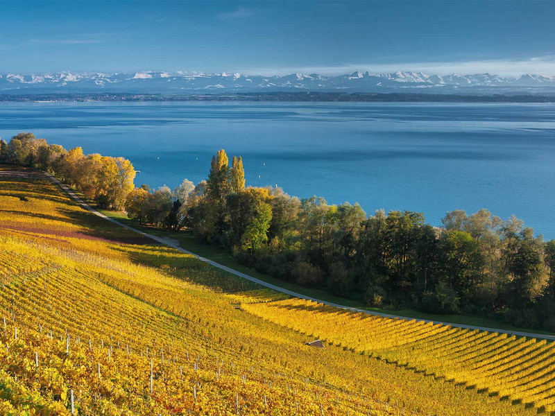 Die Lagen am Neuenburgersee haben den Jura im Rücken. Der Jurakalk ist es auch, der die Region Neuchâtel zu einem der interessantensten Terroirs der Schweiz macht.