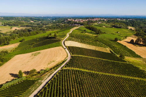 In the Monferrato, the area around Nizza and Asti, Piedmont still has its original character.