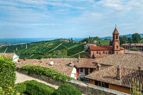 Meticulously cultivated vineyards as far as the eye can see - interspersed with picturesque villages. This is what characterizes the Monferrato.