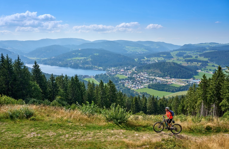 Im Schwarzwald über dem Titisee
