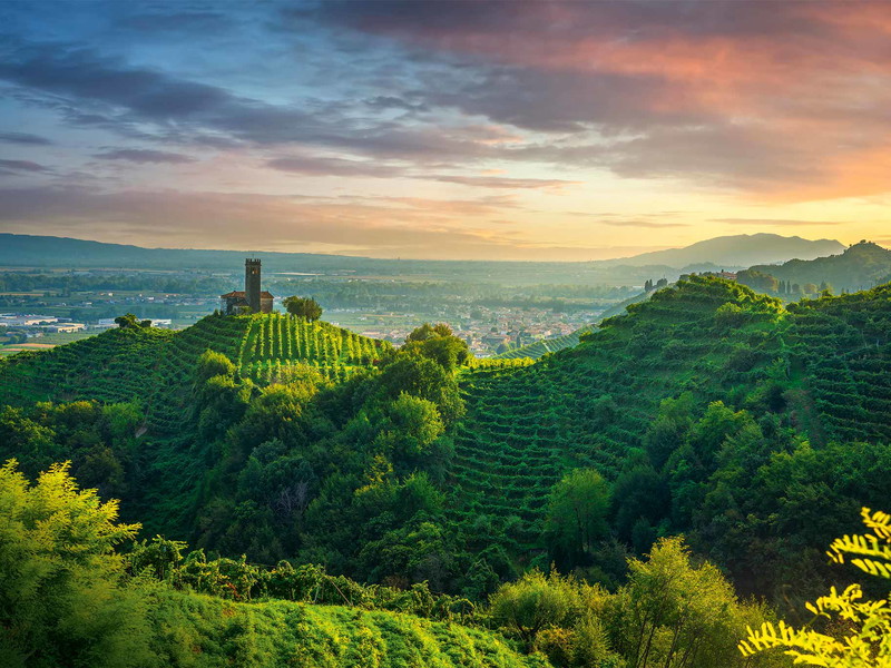 Die atemberaubende Hügellandschaft bei Farra di Soligo im Veneto ist die Heimat des Prosecco Superiore DOCG.
