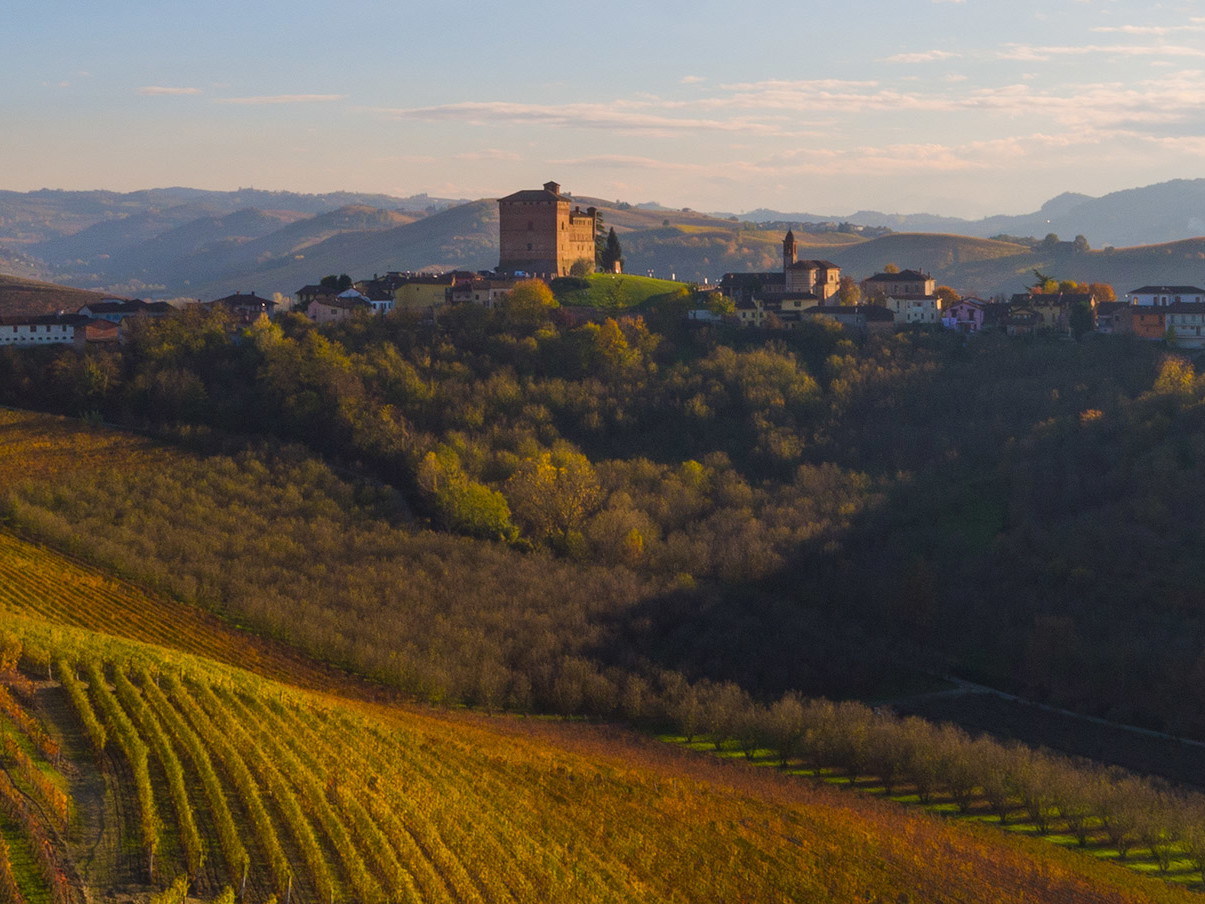 Langhe Monferrato Roero  