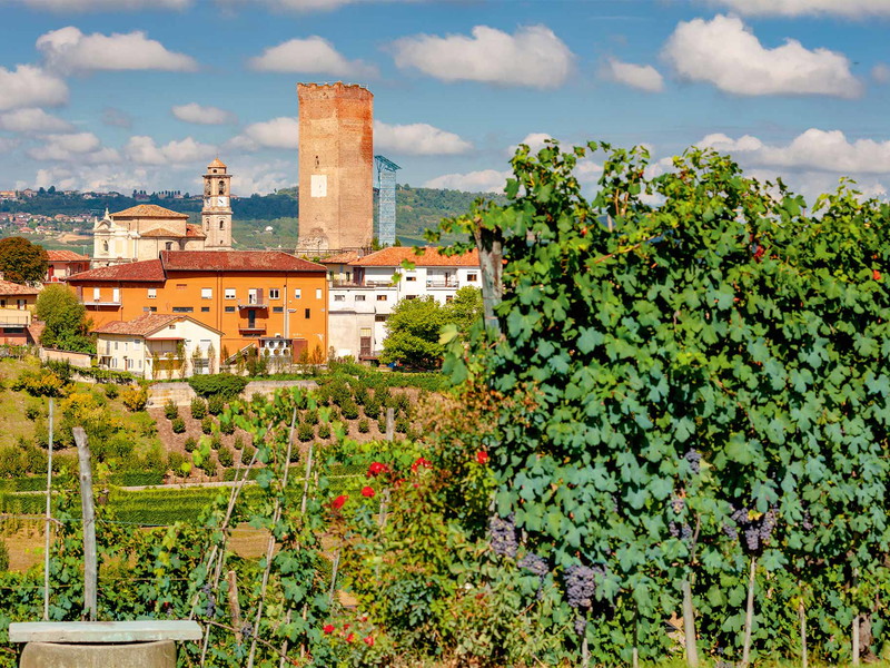 Die Ortschaft Barbaresco mit ihrem markanten mittelalterlichen Turm gab dem gesamten Anbaugebiet seinen Namen.