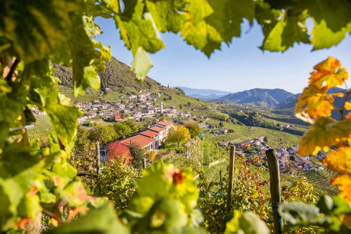 Blick von Valdobbiadene Richtung ­
San Stefano: Das Gebiet gilt als historische Produktionszone 
für Prosecco.