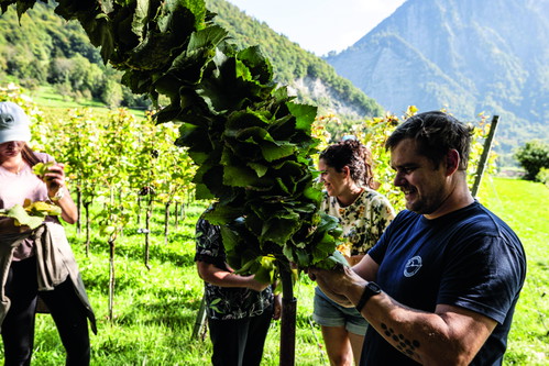 Mathilde Hug Pédeutour und Rafael Hug vom Weingut Wegelin in Malans haben sich voll und ganz dem Terroir-Konzept verschrieben. 