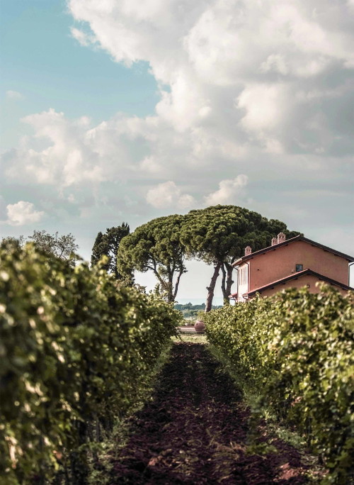Tenuta Principe Alberico: Neben Wein werden hier auch kleine, schmackhafte Gerichte angeboten. 