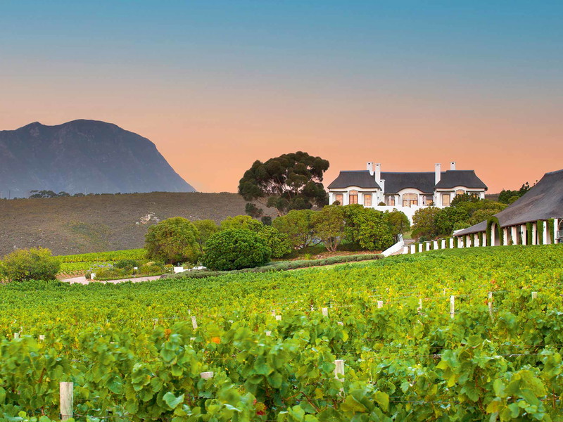Im Hemel-en-Aarde-Tal (übersetzt das »Paradies auf Erden«) gelegen sind die Weinberge von Bouchard Finlayson.