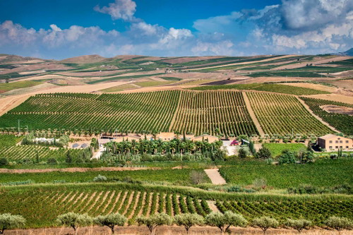 Das Weingut Donnafugata in Sizilien. 