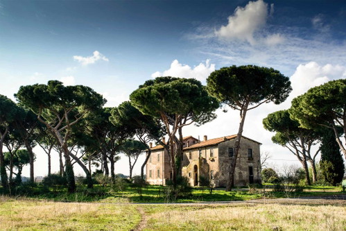 Heute leitet Alessandro-jacopo Boncompagni Ludovisi die Tenuta di Fiorano. 