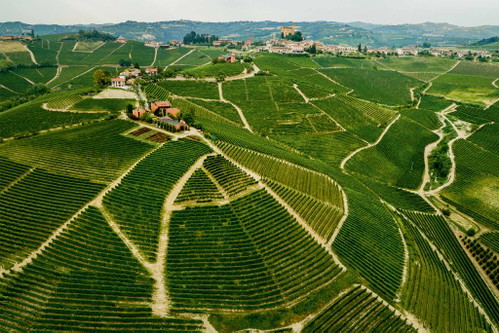 Das Weingut Gaja.