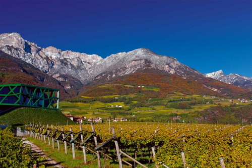 Die Kellerei Tramin in Südtirol.
