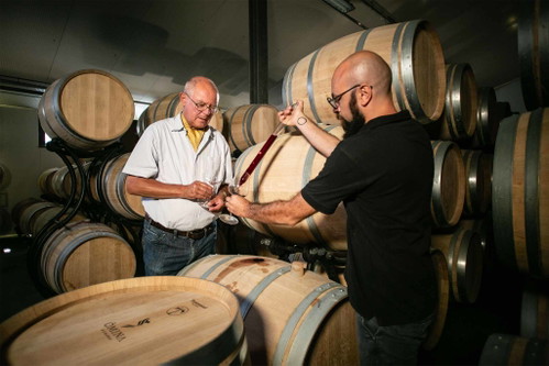 Thomas Börner gründete das Weingut Ômina Romana – heute ist es unbestritten eines der besten in der Region. 