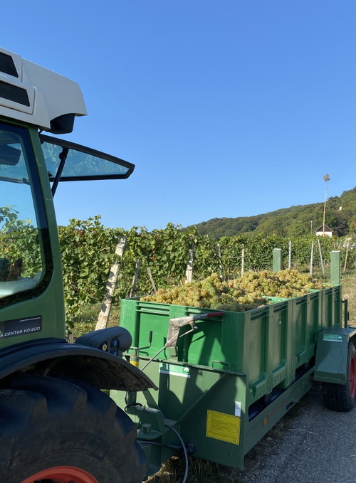Weingut Zechmeister