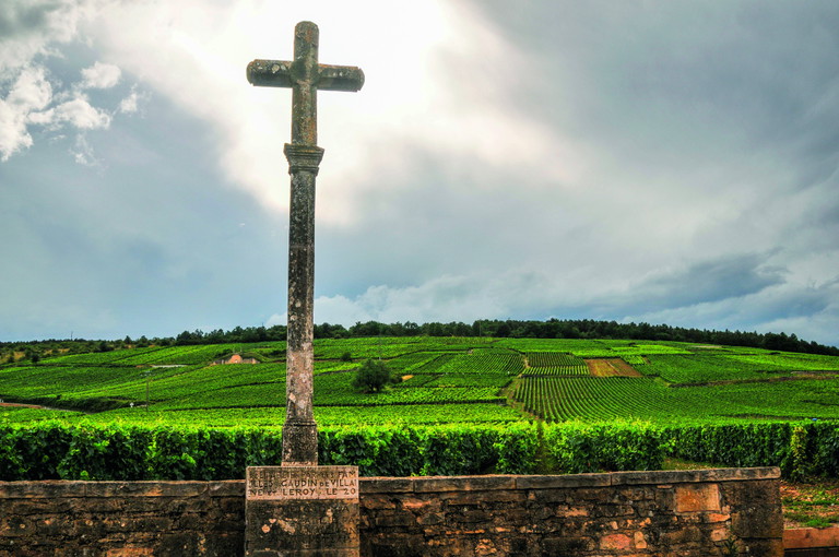Heiliger Burgunder-Gral: Die 1,81 Hektar grosse Grand-Cru-Lage Romanée-Conti in 
Vosne-Romanée. 