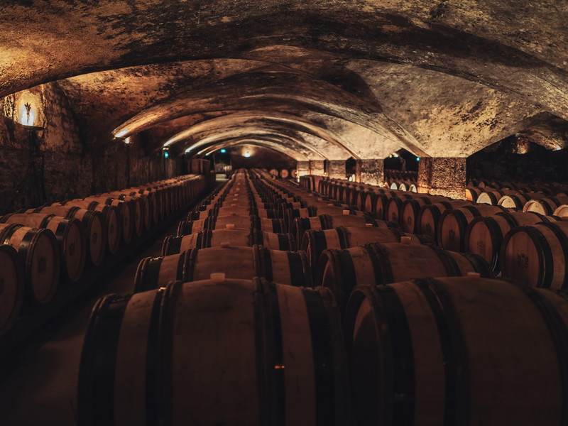 Some of the most expensive wines in the world come from Burgundy.  