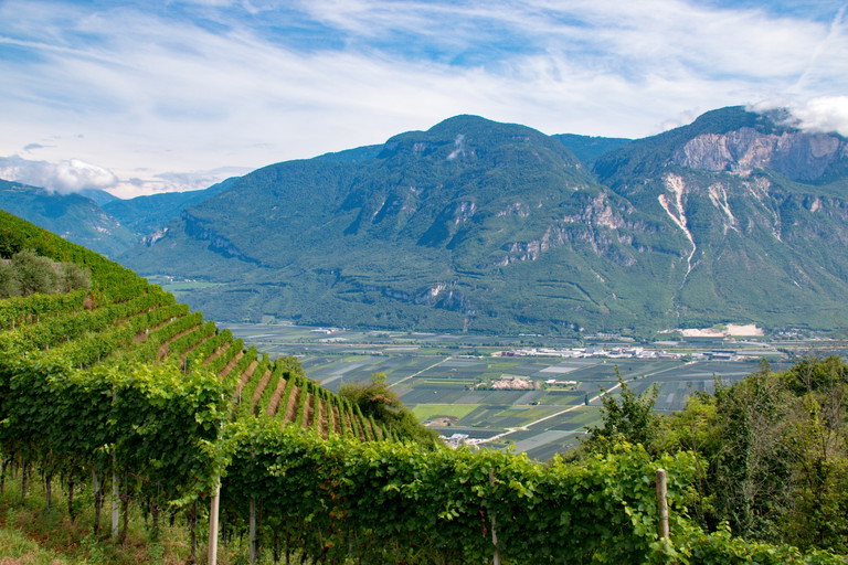 Die Weinreben im Weinbaugebiet Trentino liegen bereits hoch – doch Ferrari will noch höher hinaus. 