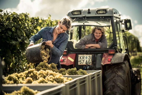 Das Weingut Malat gehört zu den absoluten Spitzenbetrieben in Österreich – nicht nur, aber auch im Schaumwein-Bereich.